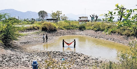 Rural development department maintains 22,051 minor irrigation tanks and 69,777 ponds and ooranis.