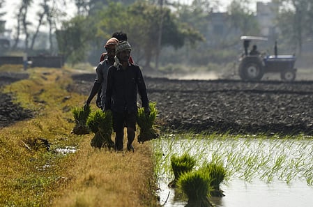 The association described the storage of 100 per cent broken rice as one of the major practical challenges arising from the new policy. 