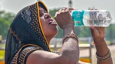The World Meteorological Organisation said El Nino had already set in, and would quickly gain strength, as it warned countries to brace for impact.