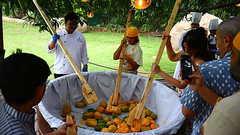 Summer tryst with mangoes at NHCC