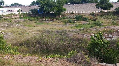 The tank belonging to the Gneelivaneswarar temple at Thiruppainjeeli near Tiruchy has fallen into neglect due to poor maintenance and overgrown vegetation.