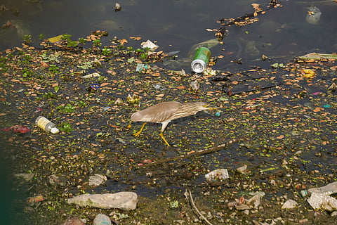 Representative image