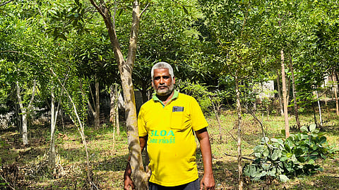 Maram Palanisamy stands amid the trees at Vadugapatti Model School, where the once-barren campus has been transformed into a green landscape through the collective efforts of the Pasumai Sangagiri team.