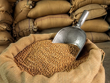 45.55 per cent of the state’s population, nearly one in every two Gujaratis, is dependent on subsidised foodgrain support. 