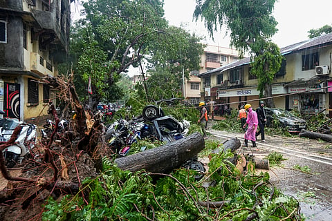 An uprooted tree lies on a road after heavy rainfall and strong winds, in Mahim, Mumbai, Maharashtra, Sunday, July 5, 2026. Several areas recorded more than 200 mm of rainfall, while a few areas logged a whopping 300 mm of downpour in the last 24 hours.