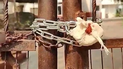 District child protection officer Arun Kumar Tripathy said all the rescued girls would be rehabilitated as per the directions of the child welfare committee.