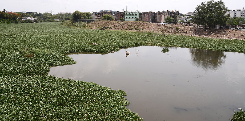 TN allocates Rs 29,863 crore for urban development; Cooum, Adyar rivers revival announced