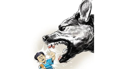 Hearing her screams, teachers rushed to the spot and rescued the child from the dogs before shifting her to the community health centre (CHC) at Adapada for treatment. 