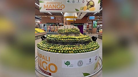 Amrapali mangoes