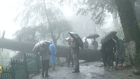 The India Meteorological Department (IMD) has issued an orange alert for light to moderate rain with a few intense spells in Solan, Shimla, Sirmaur, Kullu and Mandi districts.