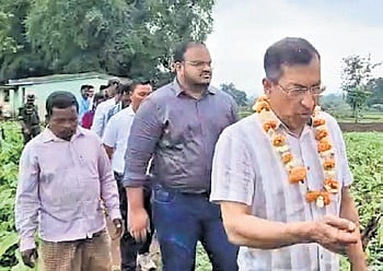Mahmood Ahmed, reviewing works along with collector Prathamesh Arvind Rajshirke and others 