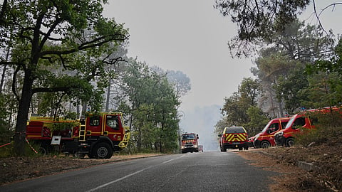 Fire trucks are parked near the scene of a wildfire in the region of the historic Fontainebleau forest, about 60 km (37 miles) south of Paris, France, Monday, July 13, 2026.