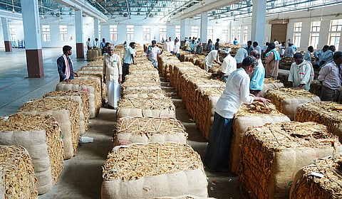 Officials said auctions in the Southern Region are progressing slowly, with buyers purchasing fewer bales in recent days. Up to Saturday, 25.82 million kg had been sold across 11 platforms. 