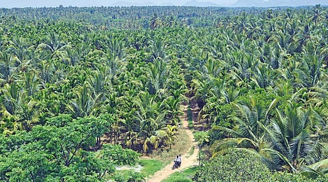 The govt will offer 9,500 sqft of developed land per acre to farmers who part with their land for the Bidadi project 