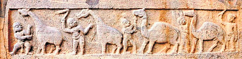 Giraffe and camel appear in a sculptural panel on the outer walls of Srisailam temple.