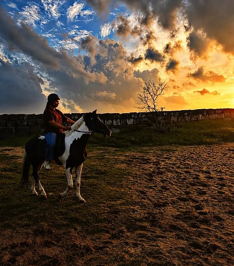 Elegant hooves horse riding academy