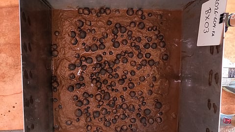 This photo provided by the US Geological Survey shows polymetallic nodules in a sample from the seafloor that was collected on April 14, 2026, in US waters off American Samoa.