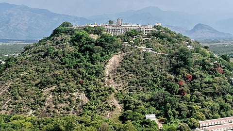 The Sri Dhandayuthapani Swamy temple in Palani