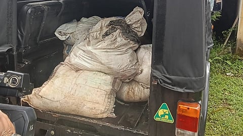 Over 260 kilogram of game meat was seized in the raid. 