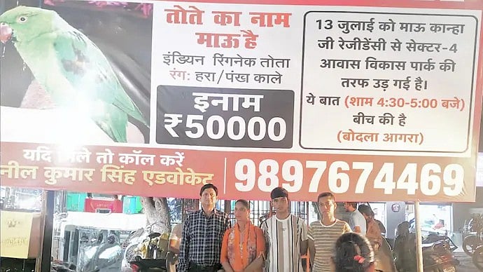 Agra family offers Rs 50,000 reward for missing pet parrot