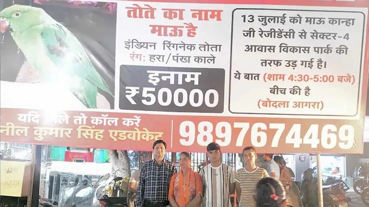 Agra family offers Rs 50,000 reward for missing pet parrot
