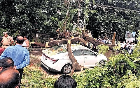 From top: A huge tree uprooted during heavy rain and fell on a car near St Aloysius College in Mangaluru on Monday. 