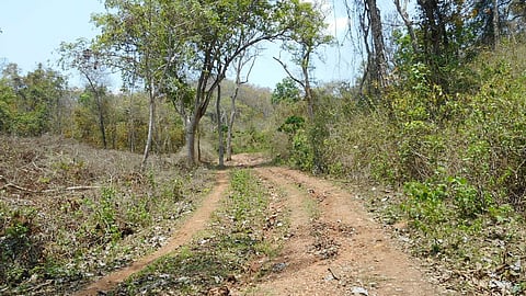 Currently, tribals of the remote hamlets either trek nearly 30 km through forest terrain or detour about 150 km.