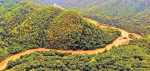 The conservationist added that there is no mention of the forest department and pollution control boards, which again come under the Ministry of Environment, Forests and Climate Change. 