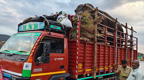 Abhimanyu and Jayanth Kumki Elephants are transporting to Parvathi Puram Manyam District for special operations to decrease the human wild elephants conflict.
