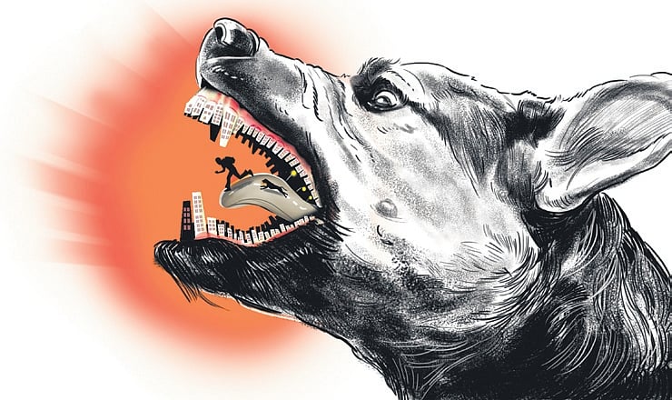 Stray dog management: Kerala govt to float new rules in 10 days
