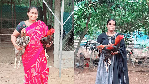 Godavari woman breaks barriers in game fowl breeding