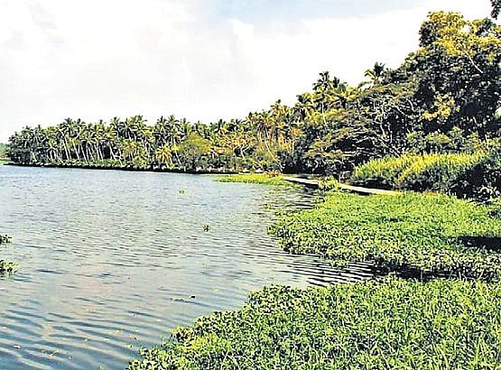 Urbanisation shrinks Akkulam lake by nearly half over three decades: Study