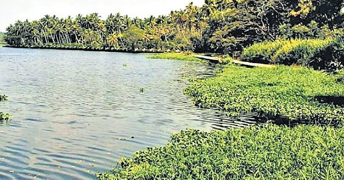 Urbanisation shrinks Akkulam lake by nearly half over three decades: Study