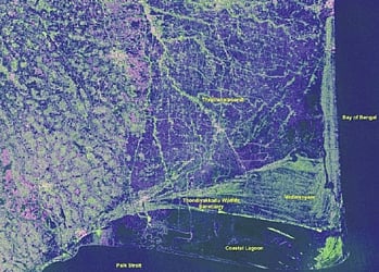 The image provides information for coastal resource management and environmental monitoring.