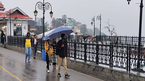Heavy rain is very likely to continue across Himachal Pradesh until August 2.