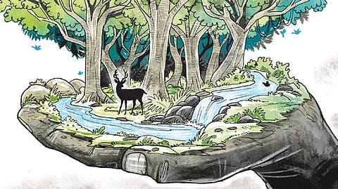 Western Ghats Ecologically Sensitive Area Forest