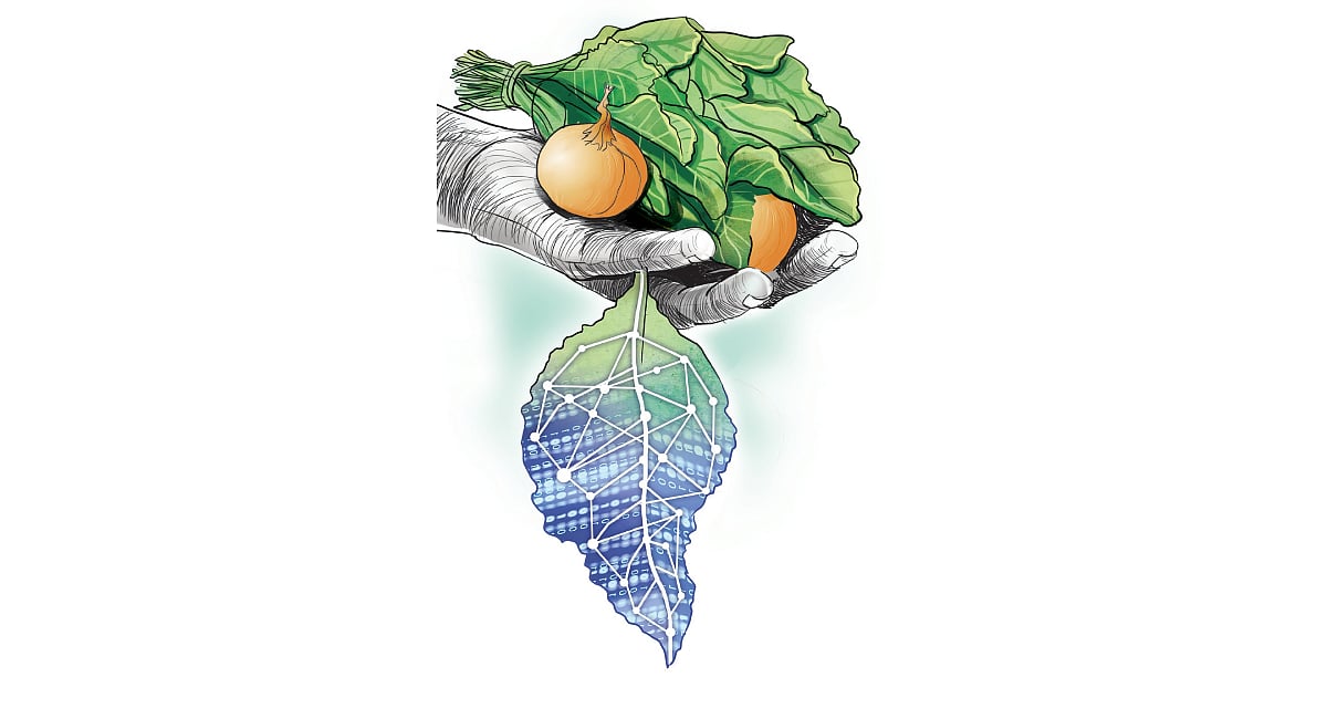 AI-led tech steps in to bring farms back to life in Kerala's NRI hubs