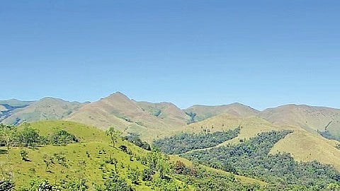 Karnataka gets largest Western Ghats ESZ share with 20k sqkm