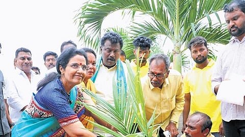 Nara Bhuvaneswari plants a sapling in Kuppam on Wednesday I Express