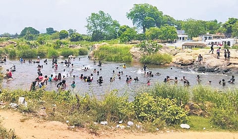Bench directed the district administration to ensure that ban is not violated and also instructed to pass resolutions for levying fines against violators 