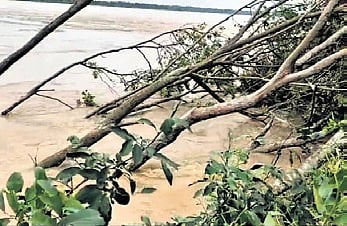 Severe erosion of Mahanadi floodplain at Guali Nasi near Salepur has raised concern among residents of over 20 gram panchayats in Cuttack district.