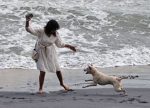 A stray dog attacks a visitor at Kovalam beach on Tuesday