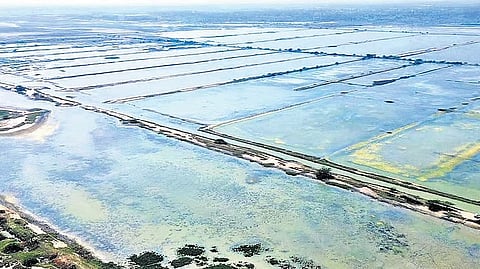 In a representation to the state on Thursday, they said the reservoir project had already received Coastal Regulation Zone (CRZ) clearance from the State Coastal Zone Management Authority in December 2025.