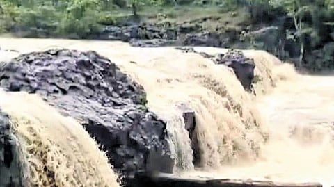 The gushing waterfalls have become a major attraction for tourists from across the erstwhile Adilabad district