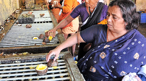 Pilgrims breaking ghee coconut at the container at Sabarimala Lord Ayyappa temple