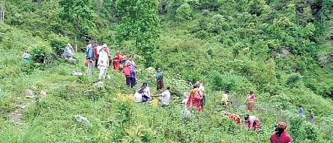 Make common forests priority: Centre to states