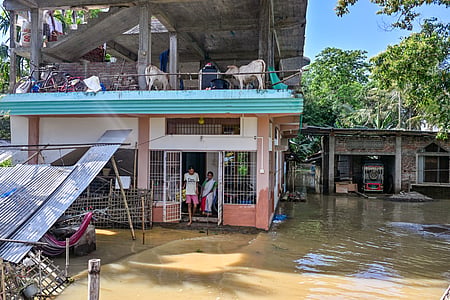 Assam flood