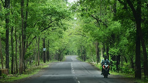 Andhra Pradesh, the highest diversion was reported in 2024-25, when 405.87 hectares of forest land was approved for non-forest use.