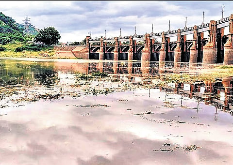 As the water was not released from Mettur dam on the stipulated date of June 12, only those farmers who got agriculture electricity connections cultivated Kuruvai paddy this year using the ground water. 