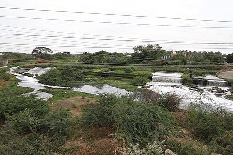 Noyyal River.